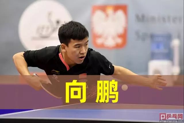 宏观愿景 宏观愿景